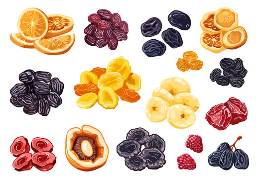 Dried candied fruits and berries set. Apple banana prunes raisins strawberry and apricot. Healthy dry fruit snack. Simple cartoon vector flat style