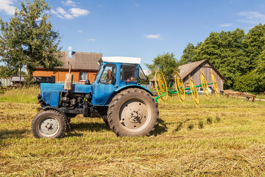 natural lighting. The driver of a blue tractor cleans hay and oats. close-up