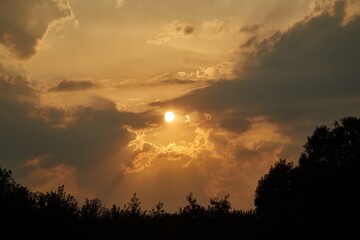 Sunset sky with tree silhouettes