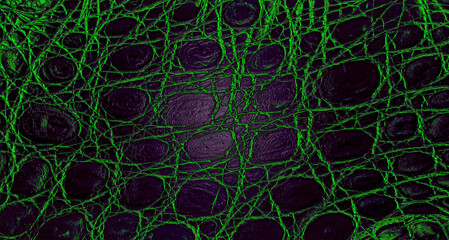 Colored leather texture with rough pattern of dark crocodile skin, as background. Alligator skin,...