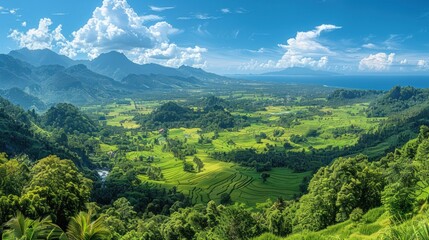 Obraz premium A panoramic view of the sprawling rice paddies of Lombok Island, Indonesia, painted in a vibrant palette of greens, yellows, and browns, stretching towards the horizon.
