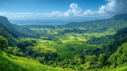 Fototapeta premium A panoramic view of the sprawling rice paddies of Lombok Island, Indonesia, painted in a vibrant palette of greens, yellows, and browns, stretching towards the horizon.