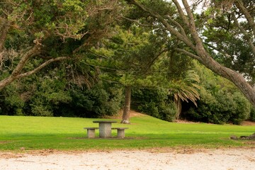 empty bench and table on the lawn next to a beach