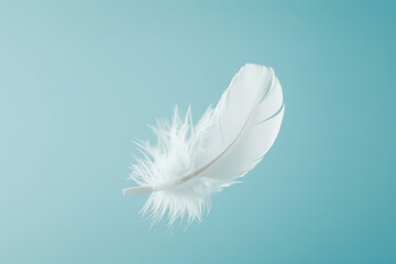 Obraz premium Single white feather is slowly falling against a turquoise background, evoking lightness and serenity