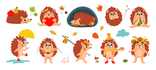 Forest autumn hedgehogs. Funny cartoon hedgehog walking sleeping and drink tea. Warm cozy animal at fall knitting and dry mushrooms, classy vector set © LadadikArt