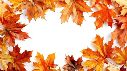 Vibrant autumn leaves creating a frame on a white background.