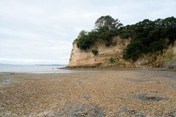 Coastal cliff with plants