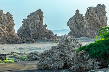 Ancient chimneys mineral rock formations on the dried bottom of the salt lake Abbe, Dikhil region,...