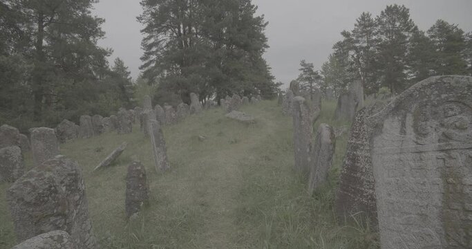 Old ancient Jewish cemetery in summer spring day. Druya, Belarus. green grass and many ancient stones. Headstone Headstones Tombstones jewish grave, clog2, clog, canon c70 c log 2
