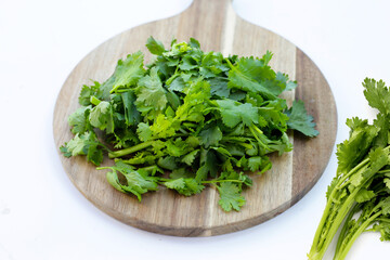 Fresh organic coriander, vegetables and herbs