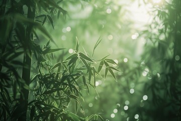 Bamboo leaves illuminated by sunlight, creating a tranquil scene with a soft green bokeh...