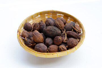 Black Cardamom or Greater Cardamom