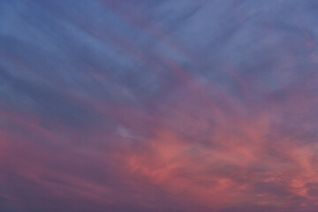 Cloudscape with pink fluffy clouds in sunset sky
