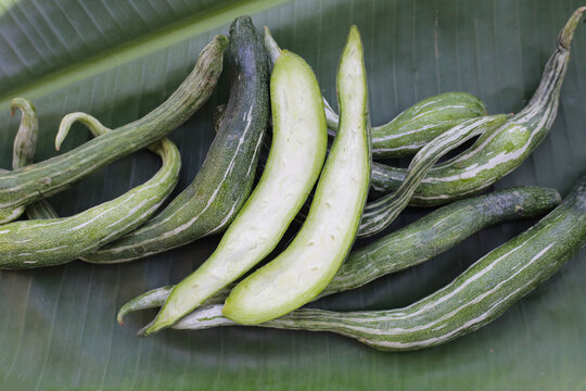 Snake gourd or serpent gourd