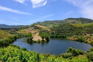 Obraz premium douro valley view
