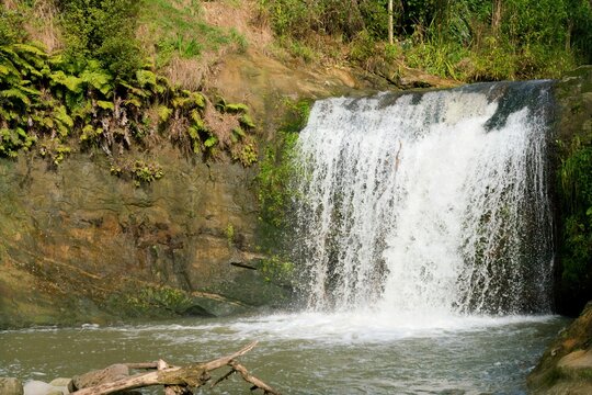 the Oakley Creek Waterfall in auckland