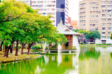 Taichung, Taiwan, Republic of China - 01 24 2024: The landscape of Taichung Park in Taichung city in Taiwan