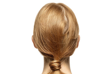 Fototapeta premium Woman with blonde hair in ponytail, rear view. Back view of a woman with long, healthy, blonde hair tied in a ponytail against a white background