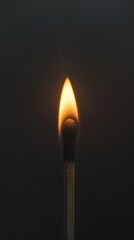 Burning match close up on dark background, dramatic lighting concept