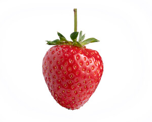 Strawberry on White Background