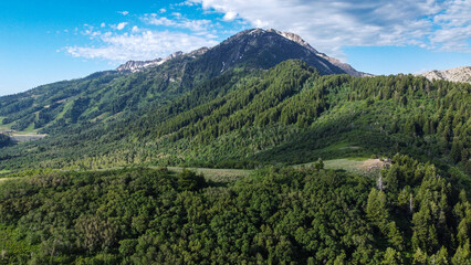 Summer Hiking views in the Mountains of Snowbasin Huntsville Utah 
