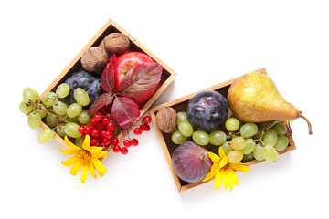Wooden boxes with different fresh fruits and nuts on white background