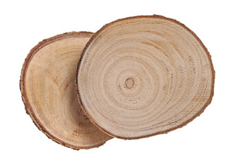 Group cross section of tree trunk flying, isolated on white background