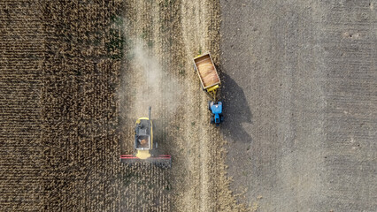 Cenital aérea con dron de cosechadora y tractor con transporte de granos de maíz, campo argentino