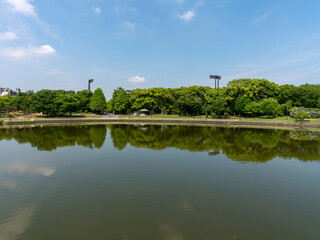 長居植物園と池の風景