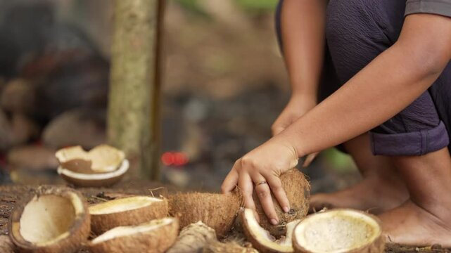 Farmer using traditional tool to remove coconut meat from shell in rural village