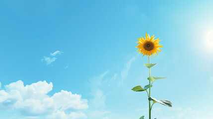Fototapeta premium A sunflower is standing in a field of blue sky. The sun is shining brightly on the flower, making it look vibrant and alive. Concept of warmth and happiness