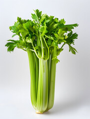 Fresh Green Celery Stalks on White Background