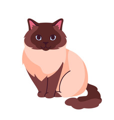 Cute cat concept. Adorabe domestic animal stretching. White and brown pet. Lovely kitten stands. Flyer, leaflet and booklet. Cartoon flat vector illustration isolated on white background
