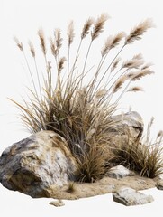 Pile of rocks and grass