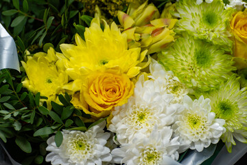Colourful Chrysanthemum flowers in bouquets, growth in Dutch greenhouse, fresh flowers for shops and auctions world wide delivery