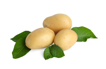Fresh raw potatoes and green leaves isolated on white