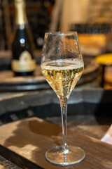 Tasting of grand cru sparkling brut white wine with bubbles champagne by old champagne caves in grand cru wine producer small village Cramant, Champagne, France
