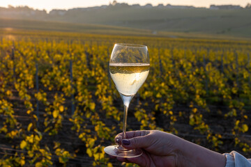 Tasting of grand cru sparkling brut white wine champagne on sunny vineyards of Cote des Blancs in village Cramant, Champagne, France, glass of wine