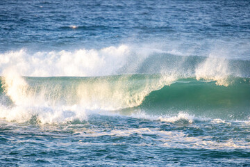 Fototapeta premium Wave crushing down on the ocean in the early morning light