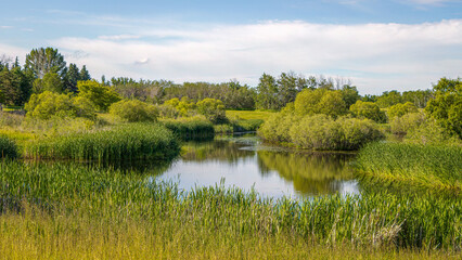wildwood Pond in Saskatoon, Canada