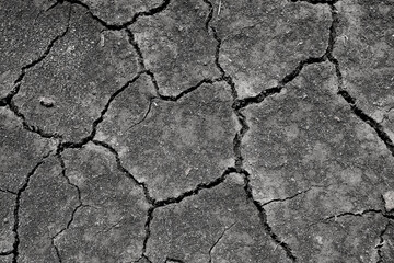 Wall texture soil dry crack pattern of drought lack of water of nature brown old broken background.