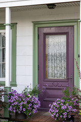 The entrance to a country farmhouse with a vibrant purple half-glass antique wooden door.The house is white with green trim. There are two large flowerpots with little purple flowers on the house step