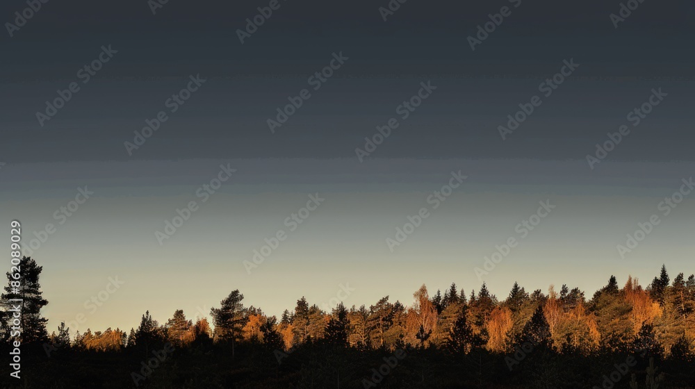 Poster a forest with trees in the background and a sky in the foreground. generate ai image