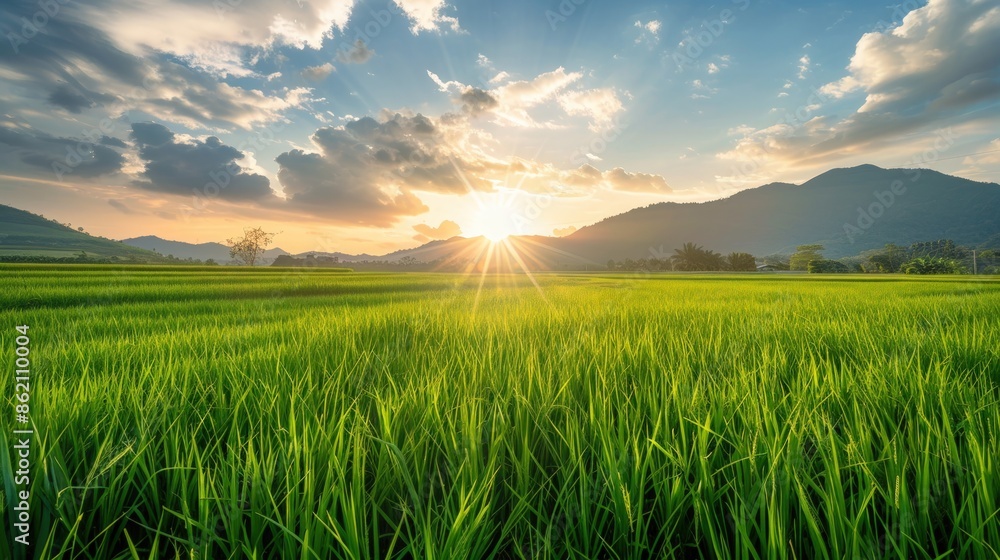 Poster a field of green grass with a bright sun shining on it. generate ai image