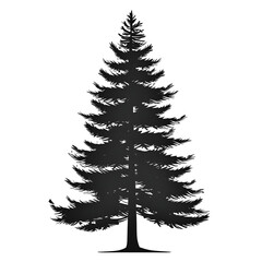 christmas tree silhouettes, christmas tree isolated on white