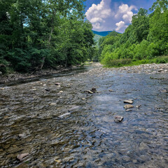 North Fork South Branch of the Potomac River Near Seneca Rocks
