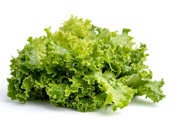 Fototapeta premium A Fresh Bunch of Green Leaf Lettuce