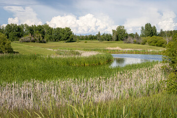 Wildwood Golf Course view in Saskatoon, Canada