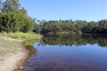 Water, trees, blue sky and a grassy shoreline at Lake Monduran in Queensland, Australia