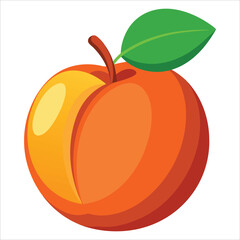 apricot vector, vibrant and healthy fruit designs